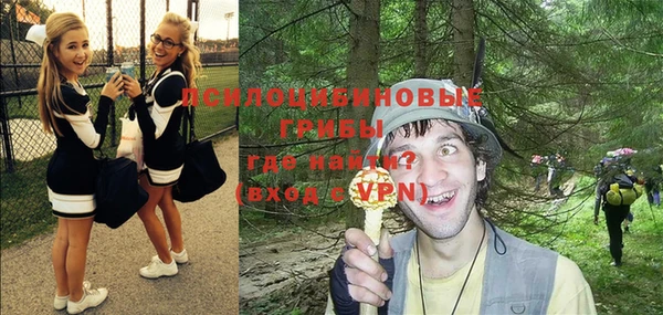 гидра Лихославль