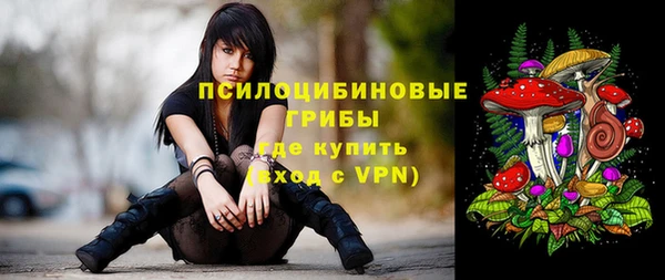 mdpv Бердск