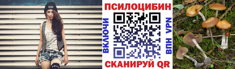 kraken вход  Шацк  Галлюциногенные грибы Psilocybine cubensis  сколько стоит 